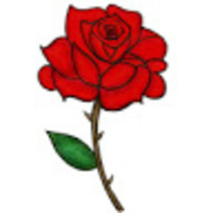 Meet your Posher, Abigail